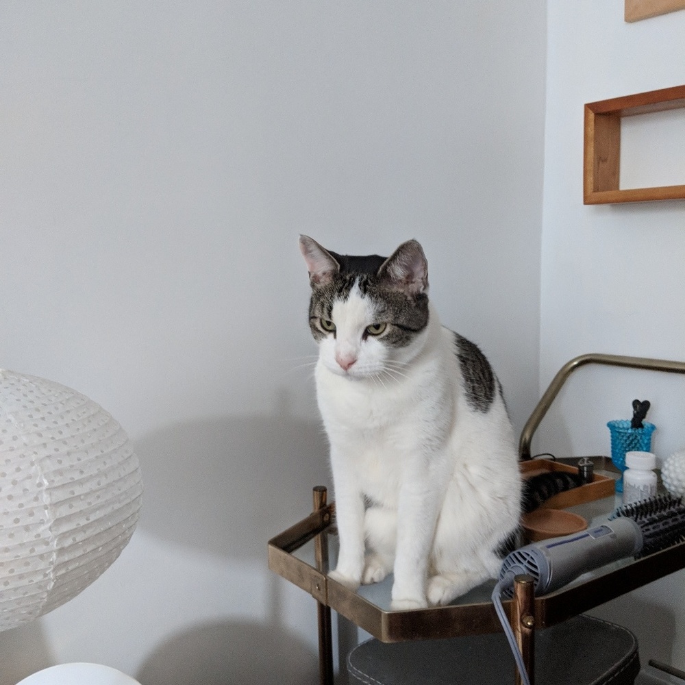 Meet your Posher, Kailee